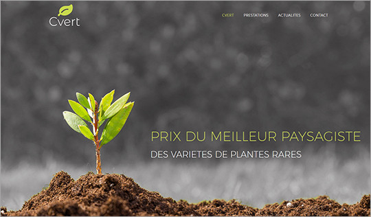 creer site internet paysagiste saint-brieuc