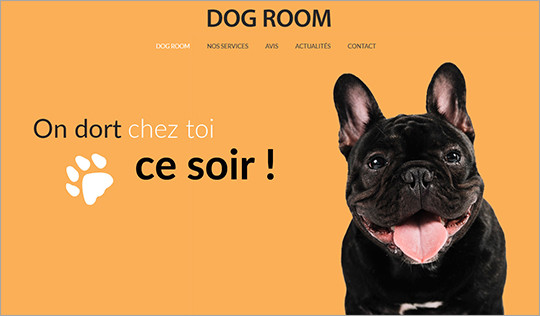 creation site internet de pension pour chiens saint-brieuc