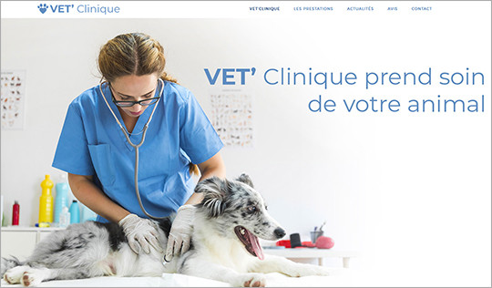 creation site internet veterinaire saint-brieuc
