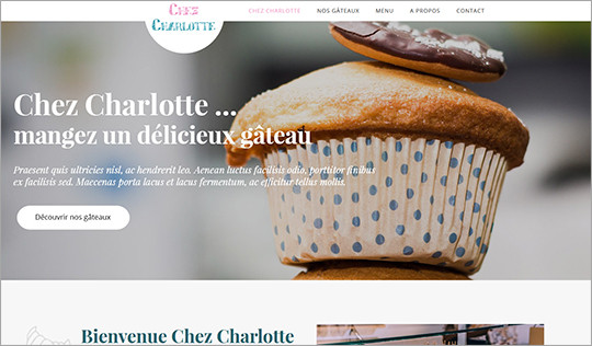 creation site internet entreprise saint-brieuc